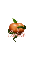 cacheteoficial
